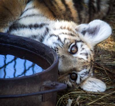 Прикрепленное изображение: _MG_8669м.jpg